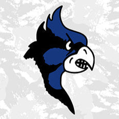 Bluebirds 1/4 Zip